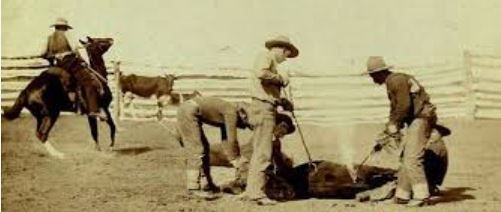 Marka ve Markalaşmanın Tarihi
